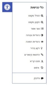 המחשת האפשרויות של כלי הנגישות.